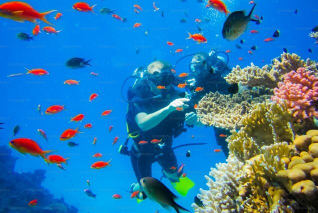🐠Hurghada Diving Trip – Full-Day Diving Experience
